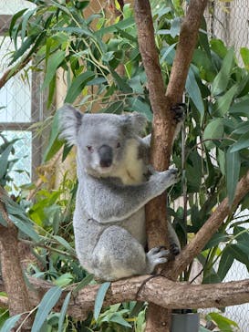 こども動物自然公園（埼玉県公園緑地協会）に投稿された画像（2025/11/2）