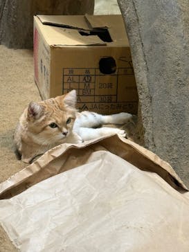 こども動物自然公園（埼玉県公園緑地協会）に投稿された画像（2025/11/2）