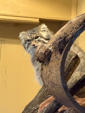 こども動物自然公園（埼玉県公園緑地協会）に投稿された画像（2025/11/2）