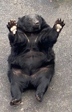 阿蘇カドリー・ドミニオンに投稿された画像（2025/11/2）