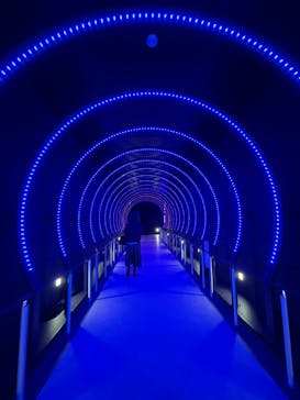 万博記念公園に投稿された画像（2025/11/2）