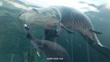 栃木県なかがわ水遊園に投稿された画像（2025/11/2）