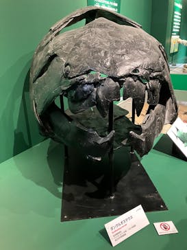 特別展「大絶滅展―生命史のビッグファイブ」に投稿された画像（2025/11/2）