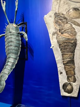 特別展「大絶滅展―生命史のビッグファイブ」に投稿された画像（2025/11/2）