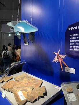 特別展「大絶滅展―生命史のビッグファイブ」に投稿された画像（2025/11/2）