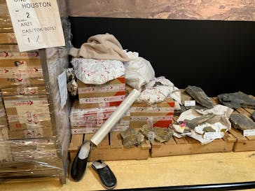 特別展「大絶滅展―生命史のビッグファイブ」に投稿された画像（2025/11/2）