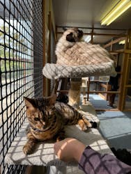 しろとり動物園に投稿された画像（2025/11/2）