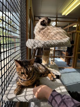 しろとり動物園に投稿された画像（2025/11/2）