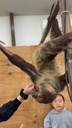 しろとり動物園に投稿された画像（2025/11/2）