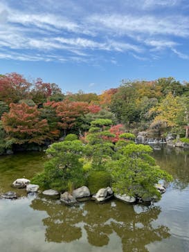 万博記念公園に投稿された画像（2025/11/2）