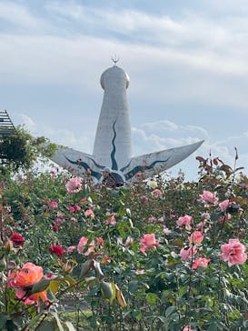 万博記念公園に投稿された画像（2025/11/2）