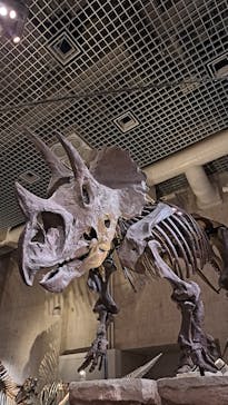 国立科学博物館に投稿された画像（2025/11/2）