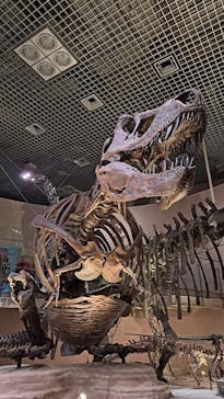 国立科学博物館に投稿された画像（2025/11/2）