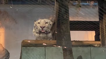 NIFREL（ニフレル）に投稿された画像（2025/11/2）