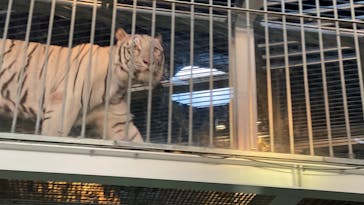 NIFREL（ニフレル）に投稿された画像（2025/11/2）