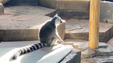 NIFREL（ニフレル）に投稿された画像（2025/11/2）