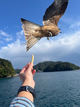 伊根湾めぐり遊覧船に投稿された画像（2025/11/2）