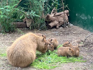 竹島水族館に投稿された画像（2025/11/2）