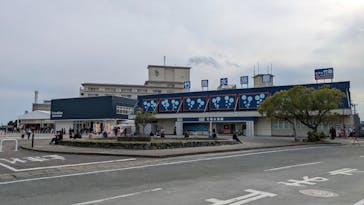 竹島水族館に投稿された画像（2025/11/2）