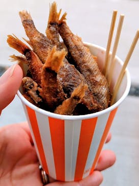 竹島水族館に投稿された画像（2025/11/2）