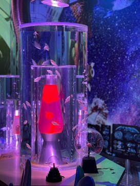 ひらかたパークに投稿された画像（2025/11/2）