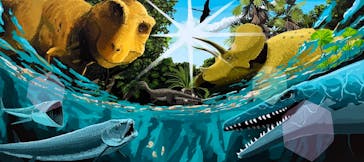 特別展「大絶滅展―生命史のビッグファイブ」に投稿された画像（2025/11/2）