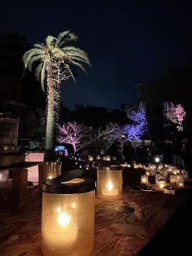 江の島シーキャンドルに投稿された画像（2025/11/2）