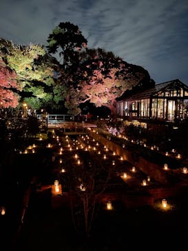 江の島シーキャンドルに投稿された画像（2025/11/2）