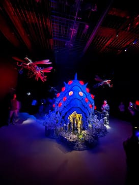 金曜ロードショーとジブリ展（静岡展）に投稿された画像（2025/11/2）