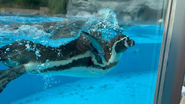 こども動物自然公園（埼玉県公園緑地協会）に投稿された画像（2025/11/2）