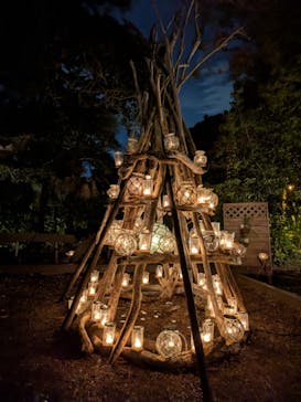 江の島シーキャンドルに投稿された画像（2025/11/2）