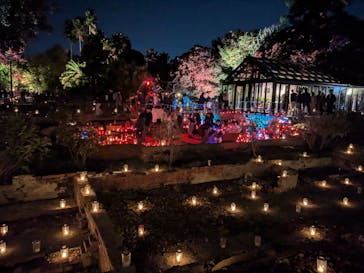 江の島シーキャンドルに投稿された画像（2025/11/2）