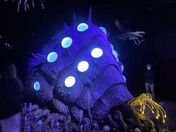 金曜ロードショーとジブリ展（静岡展）に投稿された画像（2025/11/2）