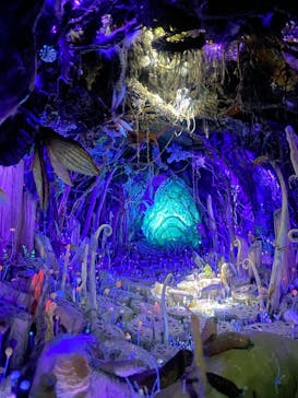 金曜ロードショーとジブリ展（静岡展）に投稿された画像（2025/11/2）