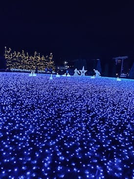 東武動物公園に投稿された画像（2025/11/2）