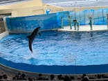 新江ノ島水族館に投稿された画像（2025/11/2）