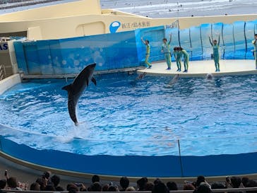 新江ノ島水族館に投稿された画像（2025/11/2）
