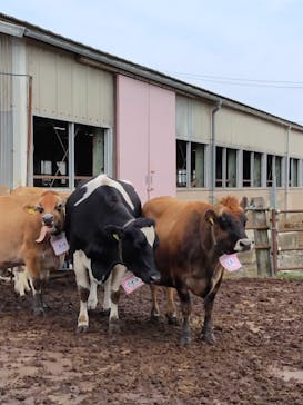 成田ゆめ牧場に投稿された画像（2025/11/2）