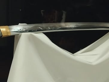 東京国立博物館に投稿された画像（2025/11/2）