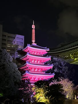 博多ライトアップウォーク実行委員会に投稿された画像（2025/11/2）