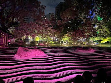 博多ライトアップウォーク実行委員会に投稿された画像（2025/11/2）