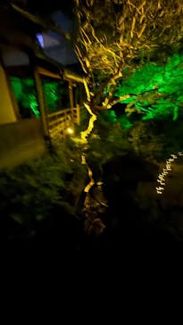 博多ライトアップウォーク実行委員会に投稿された画像（2025/11/2）