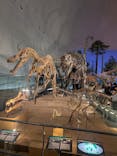 福井県立恐竜博物館に投稿された画像（2025/11/2）