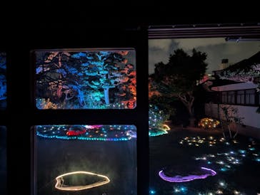 博多ライトアップウォーク実行委員会に投稿された画像（2025/11/2）