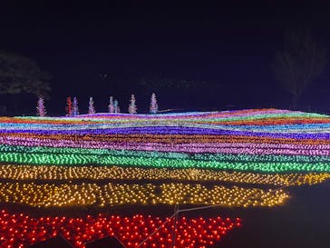 マザー牧場に投稿された画像（2025/11/2）