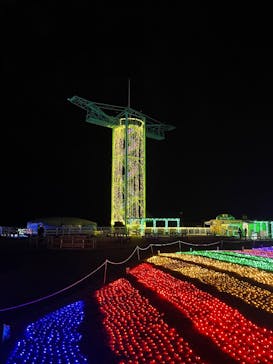 マザー牧場に投稿された画像（2025/11/2）