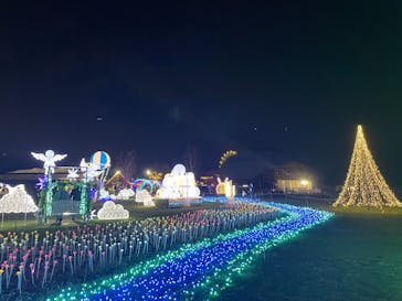 マザー牧場に投稿された画像（2025/11/2）