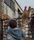 宇都宮動物園に投稿された画像（2025/11/2）
