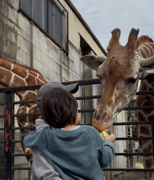 宇都宮動物園に投稿された画像（2025/11/2）