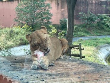 多摩動物公園に投稿された画像（2025/11/2）